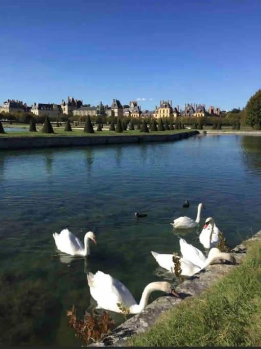 Appartement Duplex Cosy Myfontainebleau Hyper Centre Fontainebleau