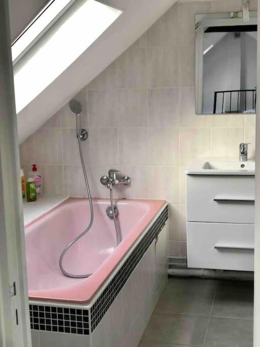 Duplex Cosy Myfontainebleau Hyper Centre Appartement *
